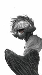 Size: 600x1066 | Tagged: safe, artist:fw9z9mg6xi7ih2z, imported from derpibooru, oc, oc only, pegasus, pony, solo