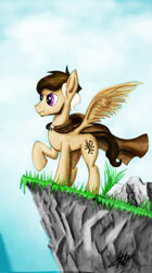 Size: 749x1334 | Tagged: safe, artist:novich, imported from derpibooru, oc, oc only, pegasus, pony, cliff, male, raised hoof, rock, stallion