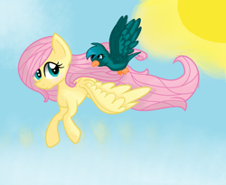 Size: 950x778 | Tagged: safe, artist:randomartist1324, imported from derpibooru, fluttershy, bird, flying, looking at each other, sky, spread wings, sun