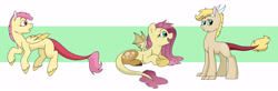 Size: 7000x2300 | Tagged: safe, artist:broohan, imported from derpibooru, oc, oc only, oc:apollo, oc:cana blossom, oc:serenity, hybrid, interspecies offspring, offspring, parent:discord, parent:fluttershy, parents:discoshy