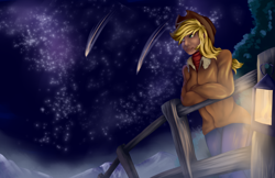 Size: 5100x3300 | Tagged: safe, artist:grennadder, imported from derpibooru, applejack, human, absurd resolution, female, fence, humanized, lantern, night, shooting star, solo, stars