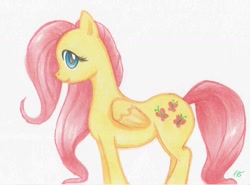 Size: 1024x759 | Tagged: safe, artist:lurpyloo, imported from derpibooru, fluttershy, cute, female, folded wings, no more ponies at source, profile, simple background, solo, standing, traditional art, white background