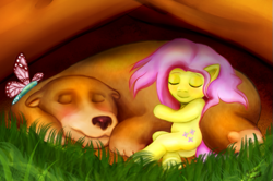 Size: 717x477 | Tagged: safe, artist:mentalmongloid, imported from derpibooru, fluttershy, bear, butterfly, sleeping