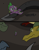 Size: 400x515 | Tagged: safe, artist:queencold, imported from derpibooru, spike, oc, dragon, comic, dragon oc, growl, male