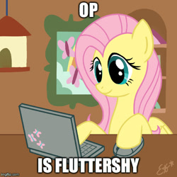 Size: 500x500 | Tagged: safe, imported from derpibooru, fluttershy, female, image macro, meme, op, op is fluttershy, reaction image, solo