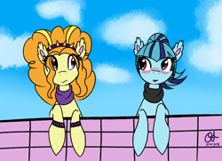 Size: 4140x3000 | Tagged: dead source, safe, artist:owlisun, imported from derpibooru, adagio dazzle, sonata dusk, equestria girls, blushing, clothes, cloud, equestria girls ponified, ponified, scarf, sky