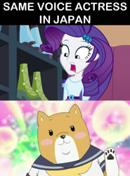 Size: 620x840 | Tagged: safe, imported from derpibooru, rarity, equestria girls, anime, exploitable meme, japanese, japanese dub, meme, mikoi sasaki, same voice actor, shiba inuko-san