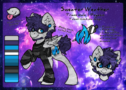 Size: 1121x809 | Tagged: safe, artist:iroxykun, imported from derpibooru, oc, oc only, oc:sweater weather, pegasus, pony, clothes, cutie mark, facial hair, glasses, male, piercing, reference sheet, solo, stallion, sweater, text, transgender, wings