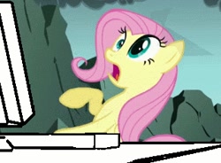 Size: 320x236 | Tagged: safe, imported from derpibooru, screencap, fluttershy, dragonshy, computer, female, reaction image, scared, solo