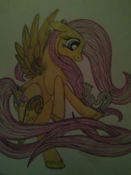 Size: 1024x1365 | Tagged: safe, artist:penkatshi, imported from derpibooru, fluttershy, squirrel, female, sketch, solo, traditional art, underhoof