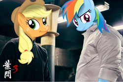 Size: 1536x1026 | Tagged: safe, edit, imported from derpibooru, applejack, rainbow dash, chinese, ip man