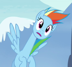 Size: 560x520 | Tagged: safe, imported from derpibooru, screencap, rainbow dash, pegasus, pony, testing testing 1-2-3, are you frustrated?, cropped, female, flying, great moments in animation, long neck, mare, rainbow girrash, solo