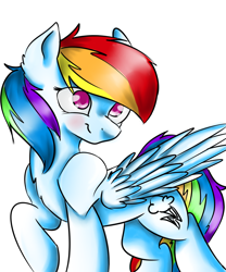 Size: 5000x6000 | Tagged: safe, artist:rayful, imported from derpibooru, rainbow dash, absurd resolution, female, solo