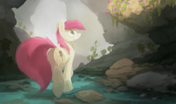 Size: 2000x1188 | Tagged: safe, artist:fuzzyfox11, imported from derpibooru, roseluck, earth pony, butt, female, fluffy, mare, plot, solo