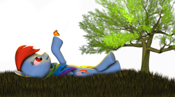 Size: 2748x1512 | Tagged: safe, artist:turbovilka, imported from derpibooru, rainbow dash, butterfly, 3d, on back, source filmmaker, tree