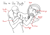 Size: 2508x1764 | Tagged: safe, artist:gashiboka, imported from derpibooru, oc, oc:anon, gun pony, human, object pony, original species, pony, anatomy, anatomy guide, behaving like a weapon, butt, diagram, food, gun, holding a pony, lineart, plot, ponified, rifle, watermelon, weapon