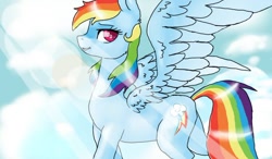 Size: 900x527 | Tagged: safe, artist:161141, imported from derpibooru, rainbow dash, pony, female, solo