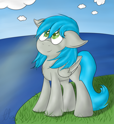 Size: 1865x2024 | Tagged: safe, artist:laptopbrony, imported from derpibooru, oc, oc only, oc:darcy sinclair, cliff, cute, looking up, ocean, solo