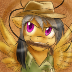 Size: 500x500 | Tagged: safe, artist:ask-daringdo, imported from derpibooru, daring do, pegasus, pony, female, mare, mouth hold, portrait, solo, whip
