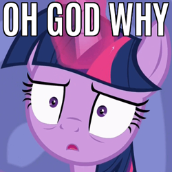 Size: 383x383 | Tagged: safe, edit, edited screencap, imported from derpibooru, screencap, twilight sparkle, alicorn, pony, ppov, caption, female, image macro, meme, reaction image, solo, text, twilight sparkle (alicorn), why