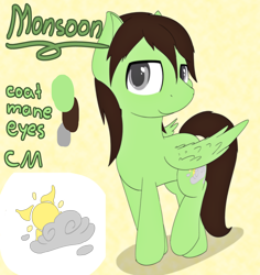 Size: 6272x6653 | Tagged: safe, artist:ampderg, imported from derpibooru, oc, oc only, oc:monsoon, pegasus, pony, absurd resolution, male, reference sheet, solo