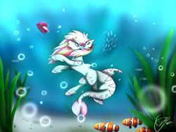 Size: 1024x768 | Tagged: safe, artist:d-emonia, imported from derpibooru, oc, oc only, oc:rainy skies, fish, original species, shark, shark pony, commission, ocean, swimming, underwater