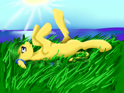 Size: 4000x3000 | Tagged: safe, artist:shininglovelystar, imported from derpibooru, oc, oc only, pony, solo