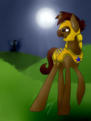 Size: 1024x1365 | Tagged: safe, artist:hurricane-danni, imported from derpibooru, oc, oc:sunwalker, changeling, royal guard