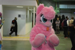 Size: 2560x1708 | Tagged: safe, artist:ketika, imported from derpibooru, oc, oc:fluffle puff, human, 2016, fursuit, irl, irl human, photo, rubronycon