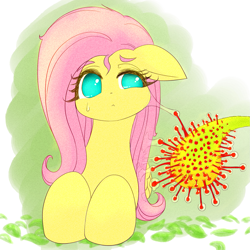 Size: 1791x1791 | Tagged: safe, artist:sigpi, imported from derpibooru, fluttershy, pegasus, pony, bust, carnivorous plant, female, floppy ears, glue, looking sideways, mare, pixiv, portrait, solo, sundew