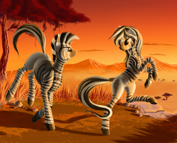 Size: 4895x3979 | Tagged: safe, artist:lightly-san, imported from derpibooru, oc, oc only, oc:lika, oc:liki, zebra, cloud, female, looking at each other, savanna, scenery, sunset, tree