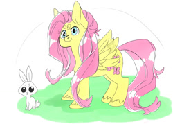 Size: 1024x733 | Tagged: safe, artist:angsty-alpaca, imported from derpibooru, angel bunny, fluttershy, beanbrows, duo, eyebrows, flat colors, spread wings, starry eyes, unshorn fetlocks, wingding eyes