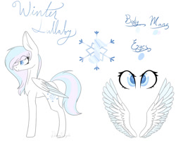 Size: 1024x819 | Tagged: safe, artist:daringpineaple, artist:daringpineapple, imported from derpibooru, oc, oc only, oc:winter lullaby, pegasus, pony, reference sheet