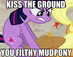 Size: 572x447 | Tagged: safe, edit, edited screencap, imported from derpibooru, screencap, applejack, twilight sparkle, changeling, earth pony, pony, unicorn, a canterlot wedding, angry, applejack's hat, caption, cowboy hat, cropped, disguised changeling, duo, female, fight, hat, image macro, mare, mud pony, out of character, pony racism, racism, stetson, text, twibitch sparkle, unicorn twilight