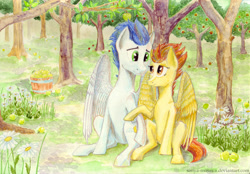 Size: 3508x2445 | Tagged: safe, artist:sanya-mosaica, imported from derpibooru, soarin', spitfire, pony, apple, apple tree, bucket, flower, food, forest, male, shipping, sitting, soarinfire, straight, traditional art