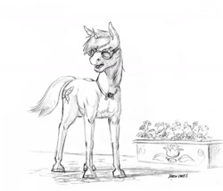 Size: 1400x1196 | Tagged: safe, artist:baron engel, imported from derpibooru, oc, oc only, pony, unicorn, flower, goggles, male, monochrome, pencil drawing, sketch, solo, stallion, traditional art