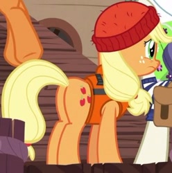 Size: 342x345 | Tagged: safe, imported from derpibooru, screencap, applejack, pony, ppov, butt, cropped, female, mare, plot