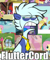 Size: 309x371 | Tagged: safe, artist:stepandy, imported from derpibooru, discord, fluttershy, oc, oc:pandy, panda pony, animated, dinkleberg, discoshy, disgusted, drama, gif, male, necktie, open mouth, seizure warning, shipping, straight, teeth