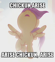 Size: 300x340 | Tagged: safe, edit, edited screencap, imported from derpibooru, screencap, scootaloo, crusaders of the lost mark, aqua teen hunger force, chickun, exploitable meme, faic, female, forced meme, image macro, looking up, meme, open mouth, raised hoof, solo, spread wings