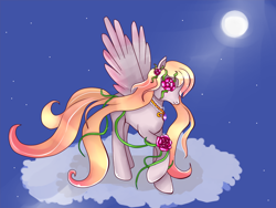 Size: 1024x768 | Tagged: safe, artist:php23, deleted from derpibooru, imported from derpibooru, oc, oc only, cloud, moon, night, solo