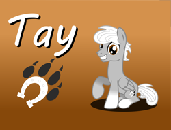 Size: 3968x3034 | Tagged: safe, artist:tay-houby, imported from derpibooru, oc, oc only, oc:tay, pegasus, pony, cutie mark, hooves, paws, solo