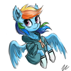 Size: 1000x1000 | Tagged: safe, artist:cerebralvapor, imported from derpibooru, rainbow dash, chest fluff, clothes, ear fluff, female, school uniform, simple background, socks, solo, spread wings