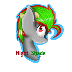 Size: 1024x1024 | Tagged: safe, artist:feathershine1, imported from derpibooru, oc, oc only, oc:night shade, bust, portrait, solo