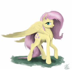 Size: 3828x3750 | Tagged: safe, artist:vinicius040598, imported from derpibooru, fluttershy, pegasus, pony, female, solo