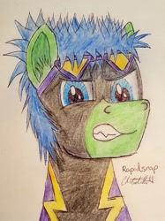 Size: 719x960 | Tagged: safe, artist:rapidsnap, imported from derpibooru, oc, oc only, oc:rapidsnap, pegasus, pony, bust, clothes, costume, male, shadowbolts, shadowbolts costume, solo, stallion, traditional art
