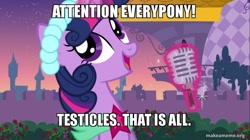 Size: 800x449 | Tagged: safe, edit, edited screencap, imported from derpibooru, screencap, twilight sparkle, a canterlot wedding, caption, family guy, female, image macro, love is in bloom, makeameme.org, meme, microphone, solo, vulgar