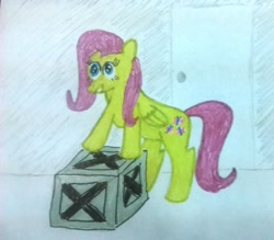 Size: 1645x1440 | Tagged: safe, artist:pawnypawnstar, imported from derpibooru, fluttershy, box, female, simple background, solo, traditional art