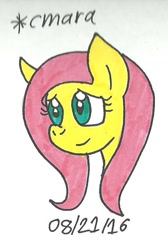 Size: 446x662 | Tagged: safe, artist:cmara, imported from derpibooru, fluttershy, female, solo, traditional art