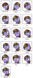 Size: 583x1370 | Tagged: safe, artist:pridark, imported from derpibooru, oc, oc only, oc:thunder chaser, emotional spectrum, reference sheet