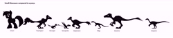 Size: 12123x2700 | Tagged: safe, artist:smcho1014, deleted from derpibooru, imported from derpibooru, dinosaur, pony, pterosaur, unicorn, absurd resolution, beipiaosaurus, dimorphodon, effigia, eotyrannus, microraptor, pony-sized, prehistoric, size chart, size comparison, tanycolagreus, unaysaurus